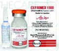 Cefrinex Inj 1gm 1Vial