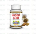 Hoodia Slim Cap 20's