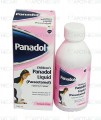 Panadol Liq 160mg 100ml