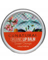 Organic  Lip Balm Sweet Orange 1's