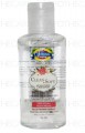 Hand Sanitizer Original Liq 65ml