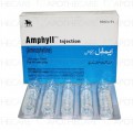 Amphyll Inj 250mg 5Ampx10ml